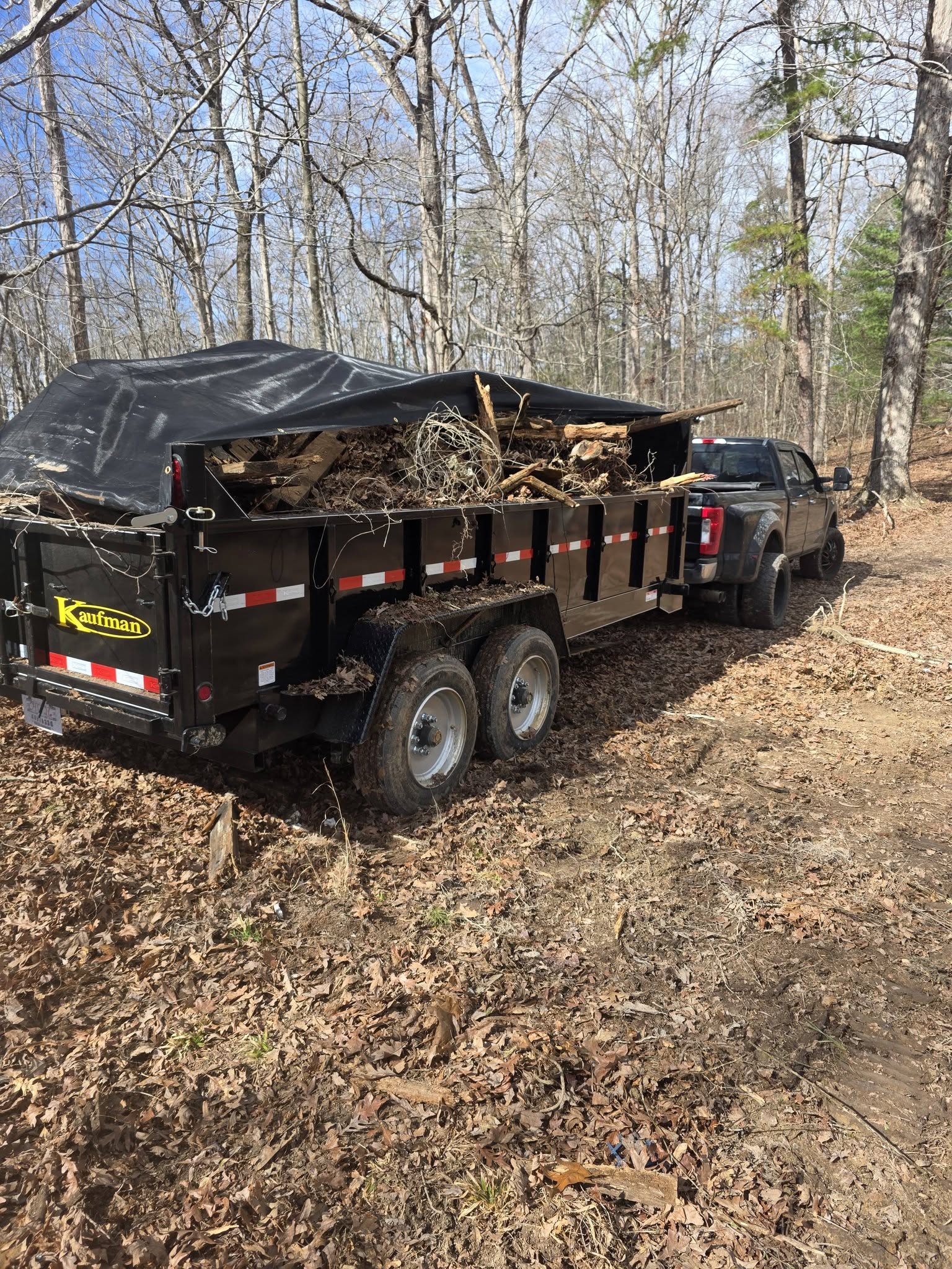 Junk removal haul by Rays