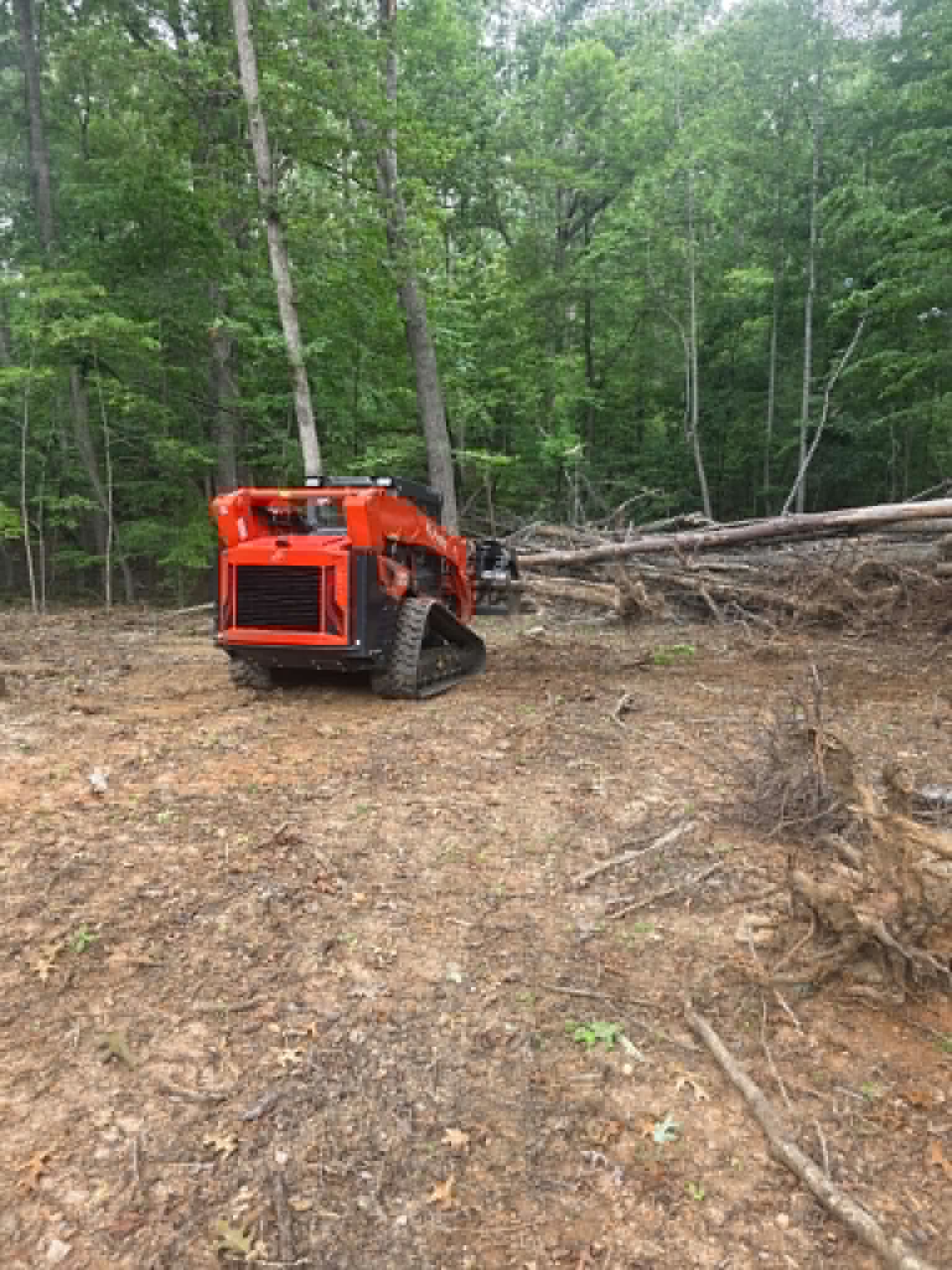Forestry mulching equipment clearing brush