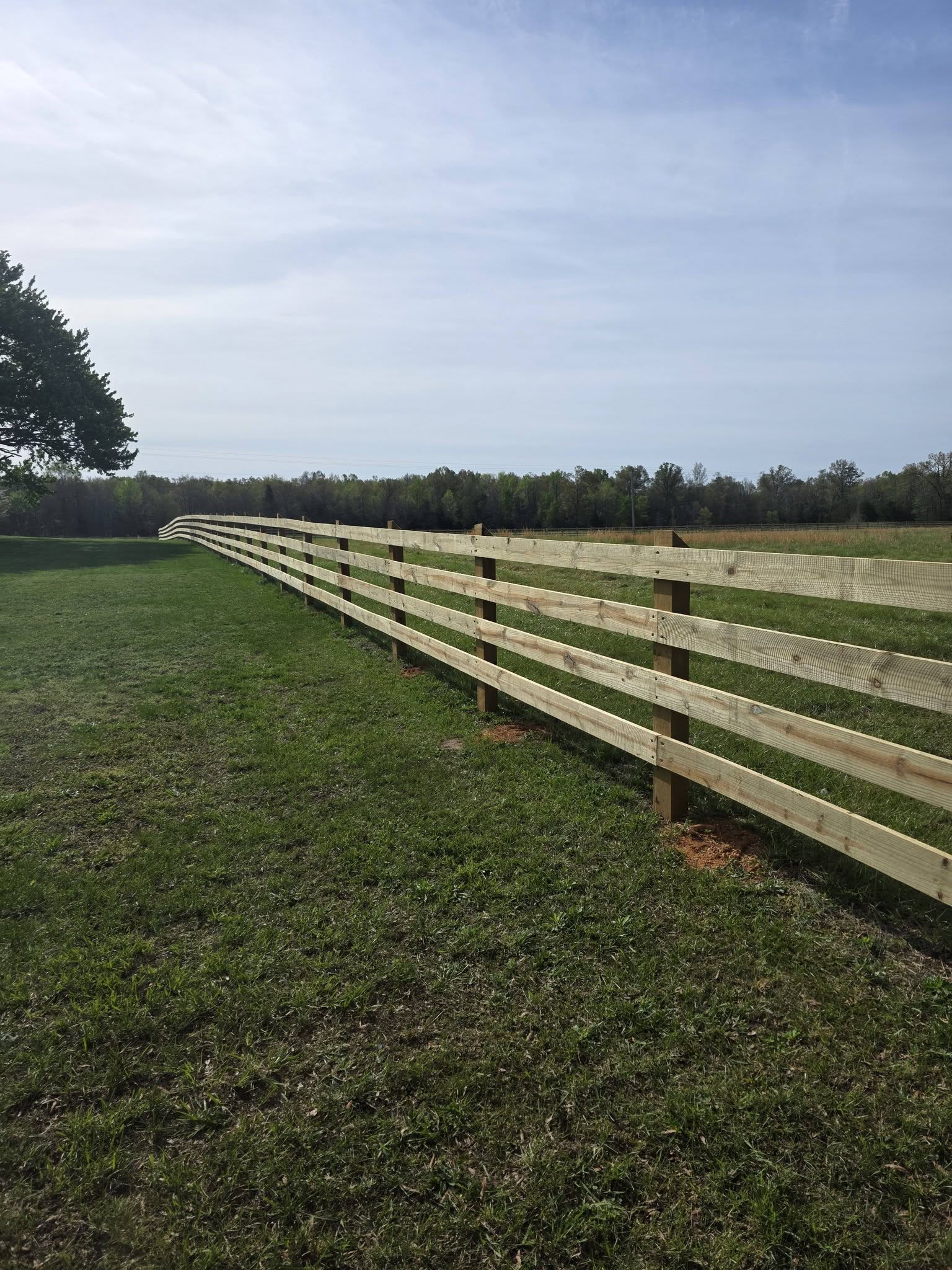 Installed fence by Rays